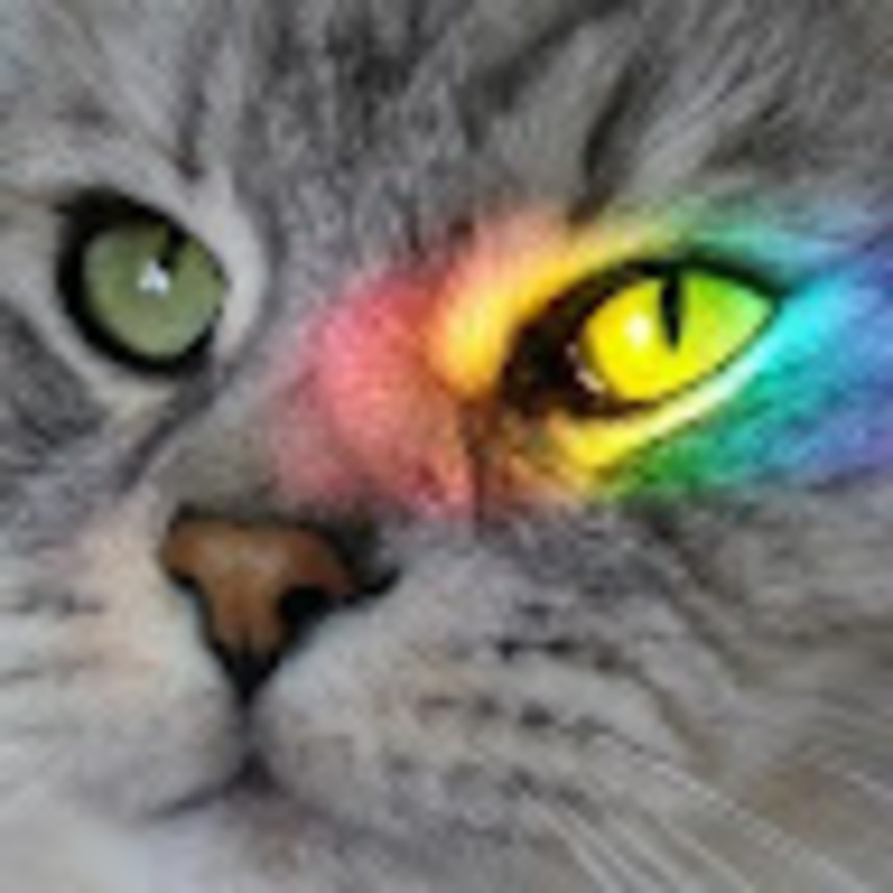 Meet your Posher, Natalie